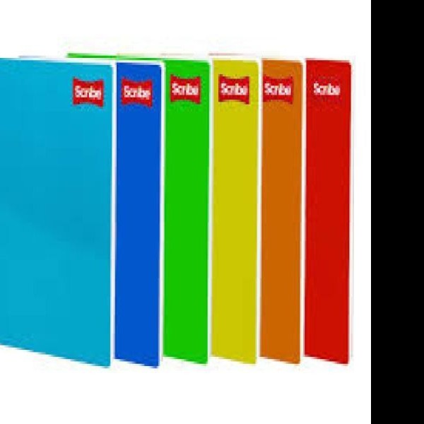 CUADERNO PROF. CLASICO SCRIBE 2900 RAYA ESP. 100H. C.24